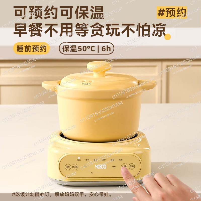 Electric Stew Pot Baby Food Pr - Baby Food Maker All In One review and price