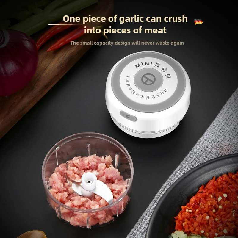Electric Mini Garlic Chopper 1 - Baby Food Vegetables review and price